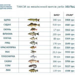Штраф за вилов раків: розмір покарання та наслідки для рибалок